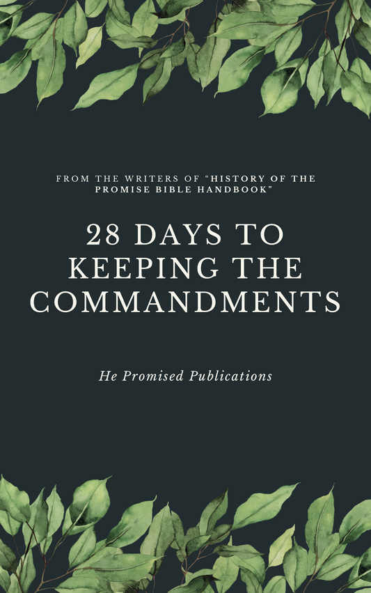 28 Days to Keeping the Commandments